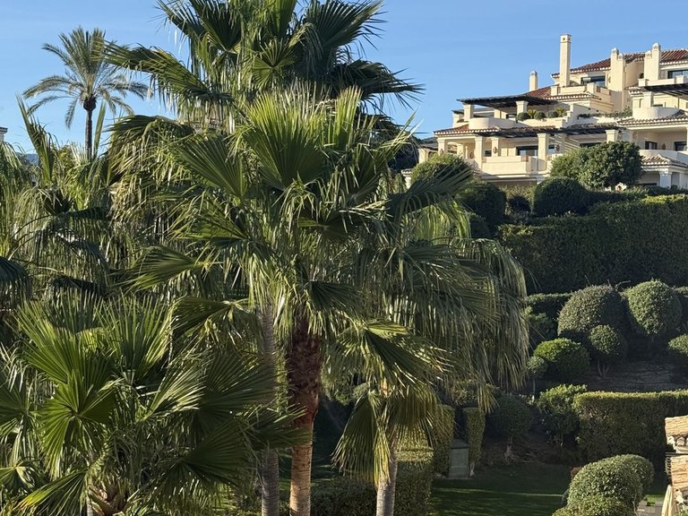 Apartment for Sale in Benahavís, Malaga 6