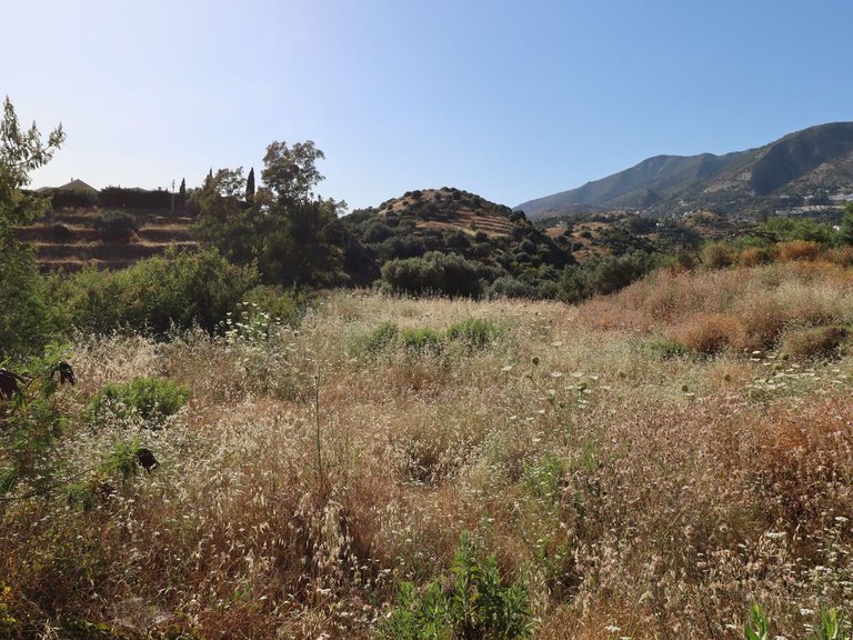 Plot for Sale in Mijas, Malaga 1