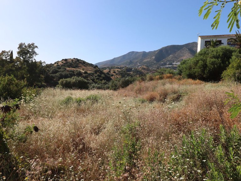 Plot for Sale in Mijas, Malaga 2