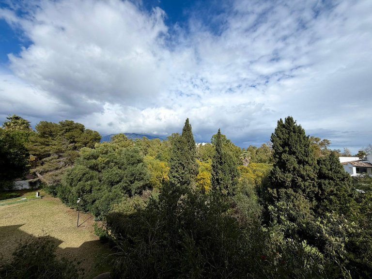 Apartment for Sale in Puerto Banús, Malaga 52