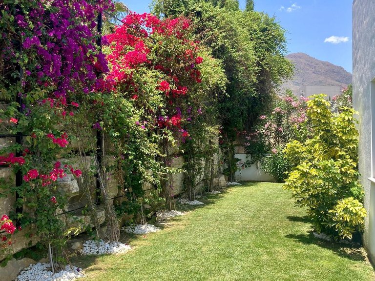 Villa for Sale in Valle Romano, Malaga 17