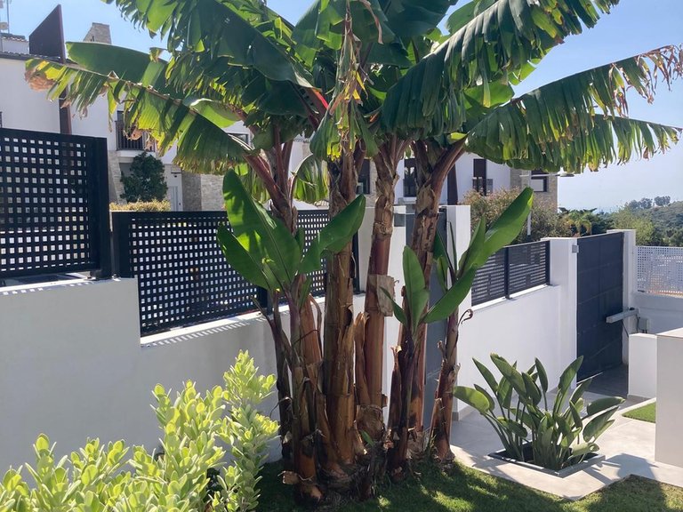 Villa for Sale in Valle Romano, Malaga 28