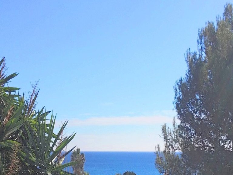 Apartment for Sale in Estepona, Malaga 2