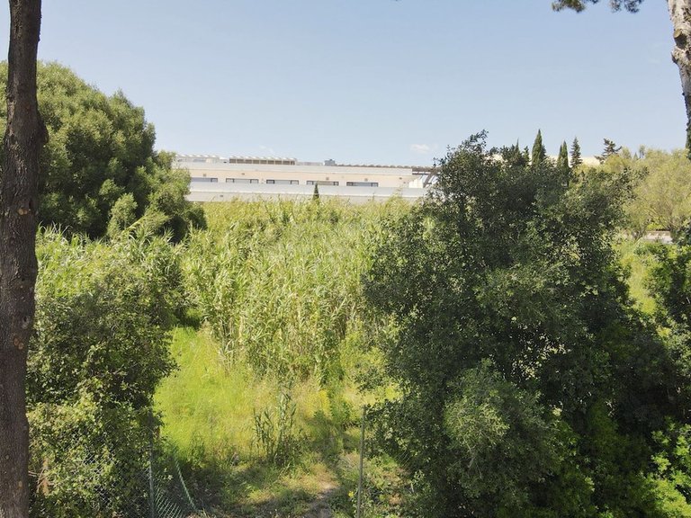 Plot for Sale in Sotogrande, Cadiz 16