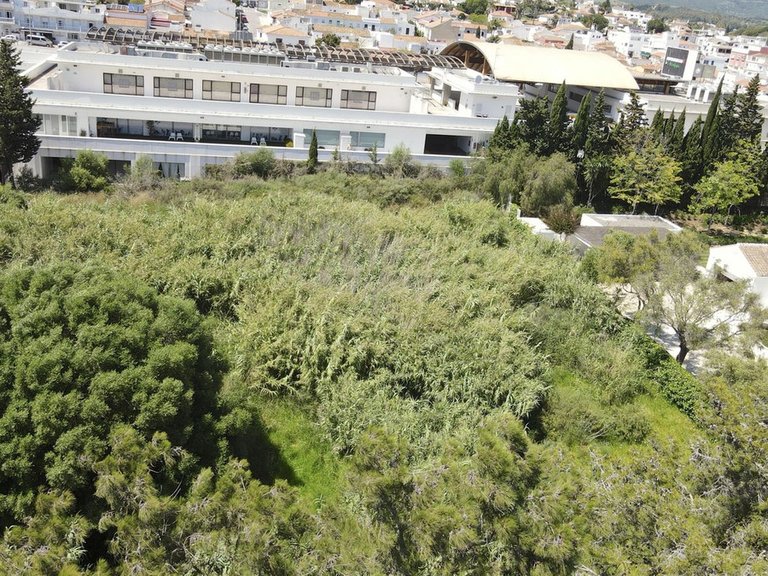 Plot for Sale in Sotogrande, Cadiz 17