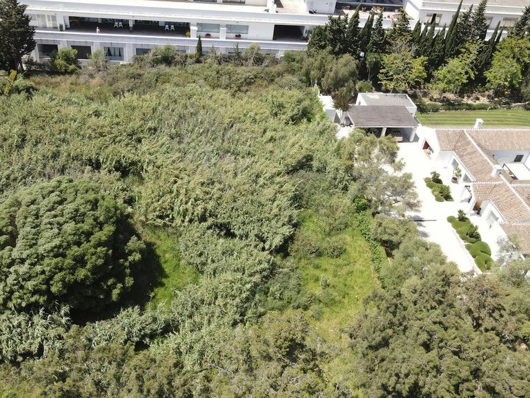 Plot for Sale in Sotogrande, Cadiz 18