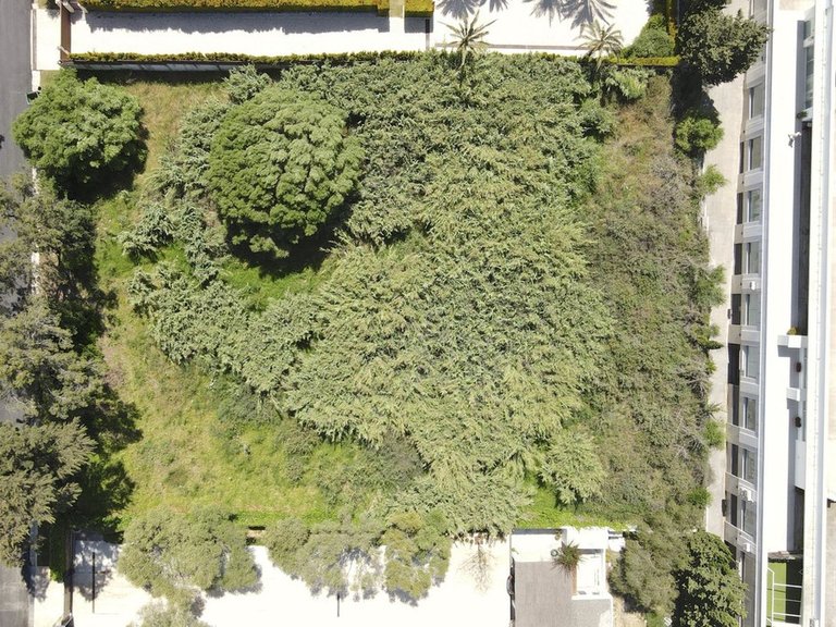 Plot for Sale in Sotogrande, Cadiz 19