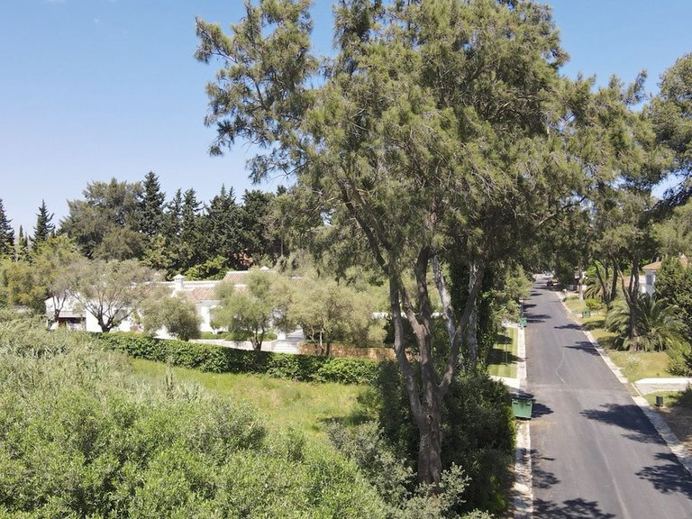 Plot for Sale in Sotogrande, Cadiz 2