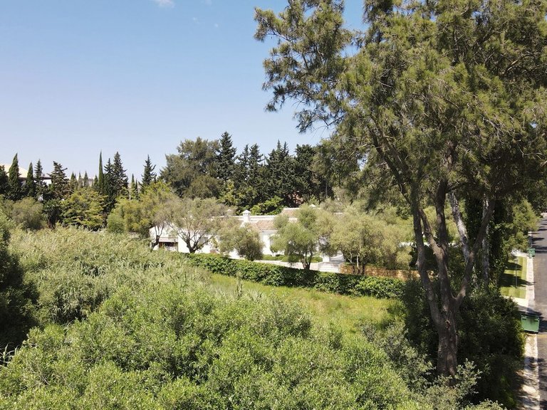 Plot for Sale in Sotogrande, Cadiz 3