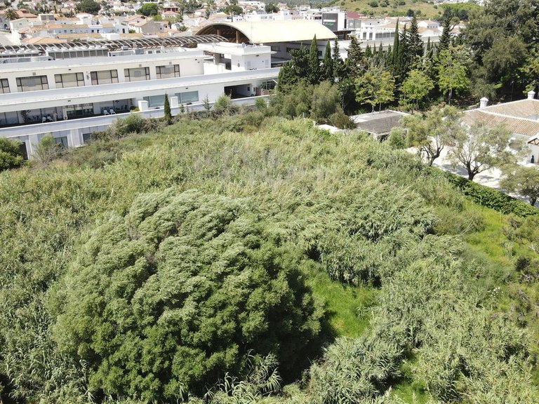 Plot for Sale in Sotogrande, Cadiz 5