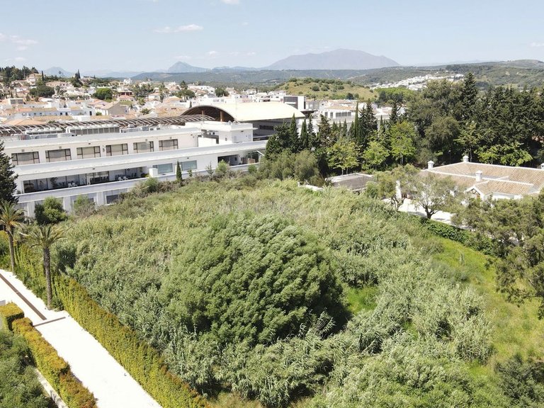 Plot for Sale in Sotogrande, Cadiz 7