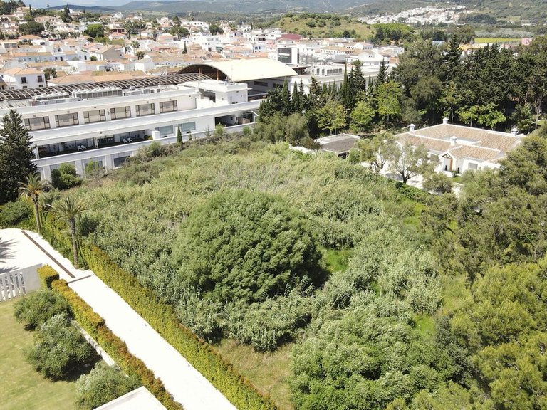 Plot for Sale in Sotogrande, Cadiz 8
