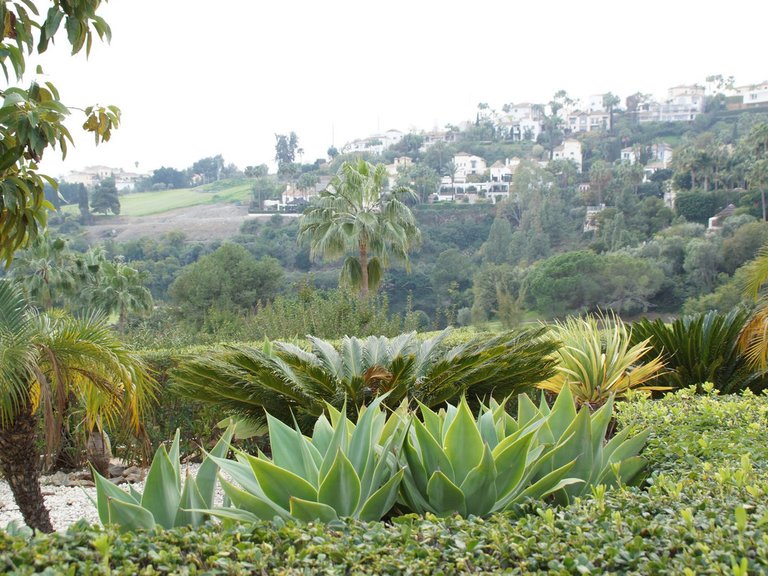 Apartment for Sale in Los Arqueros, Malaga 21