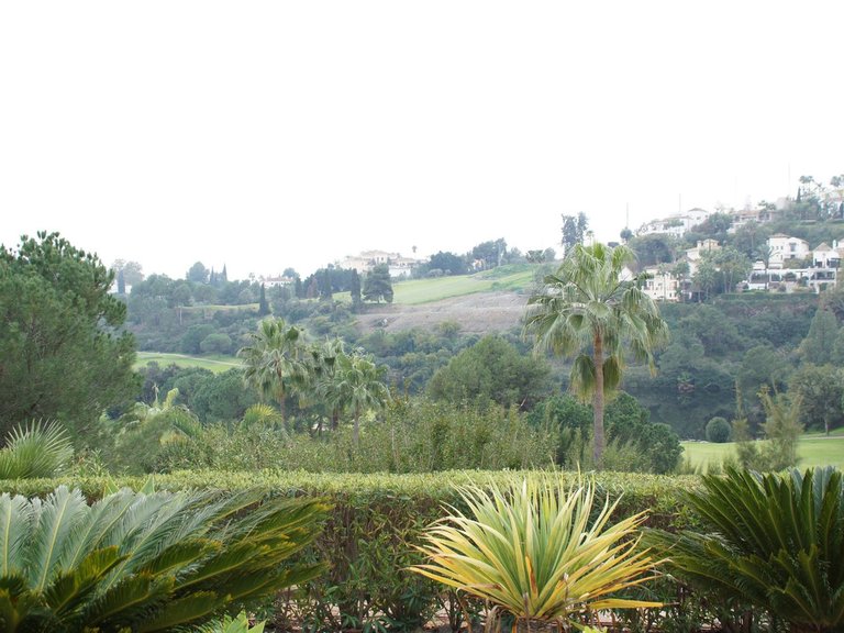Apartment for Sale in Los Arqueros, Malaga 22