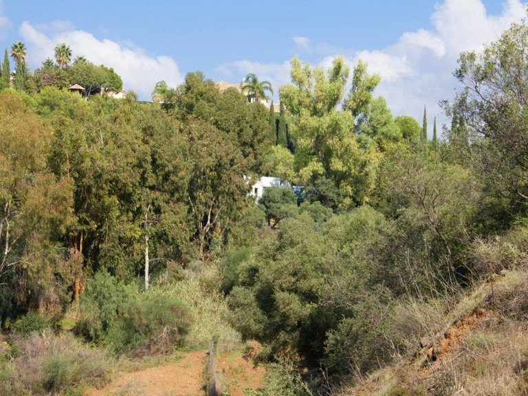 Plot for Sale in Benahavís, Malaga 10