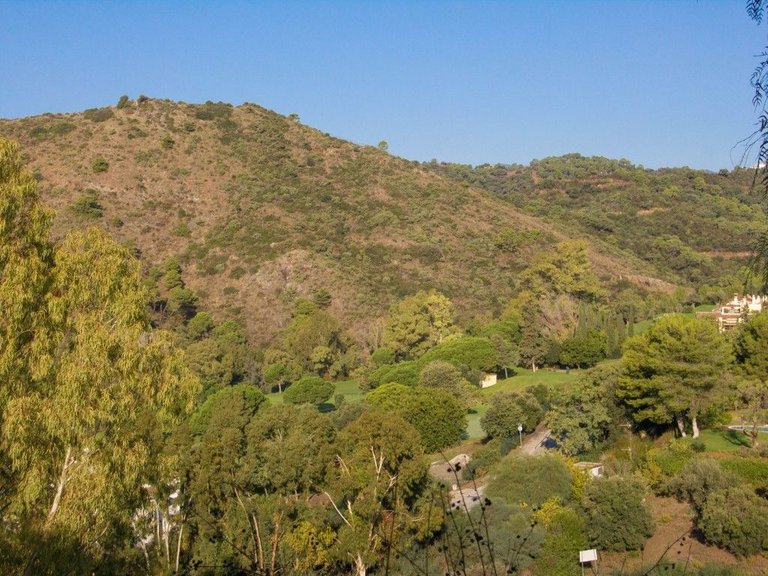 Plot for Sale in Benahavís, Malaga 13