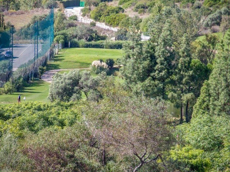 Plot for Sale in Benahavís, Malaga 4