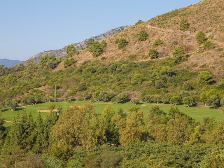 Plot for Sale in Benahavís, Malaga 5