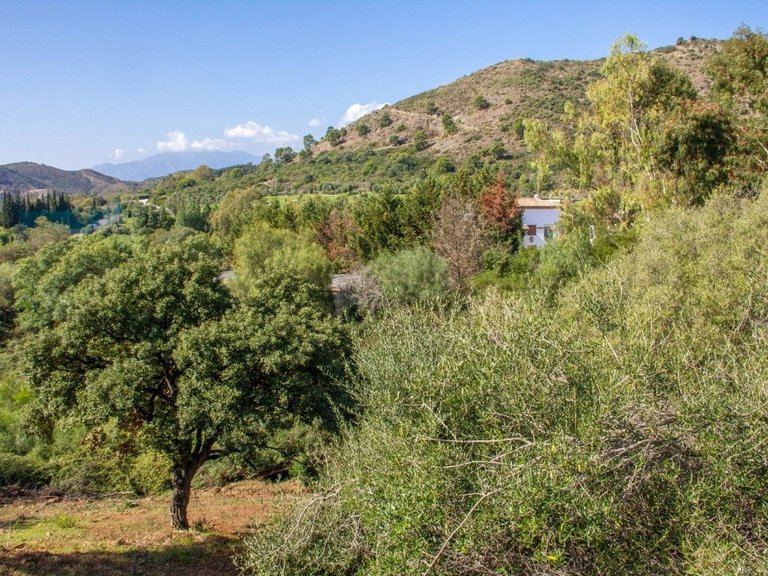 Plot for Sale in Benahavís, Malaga 6