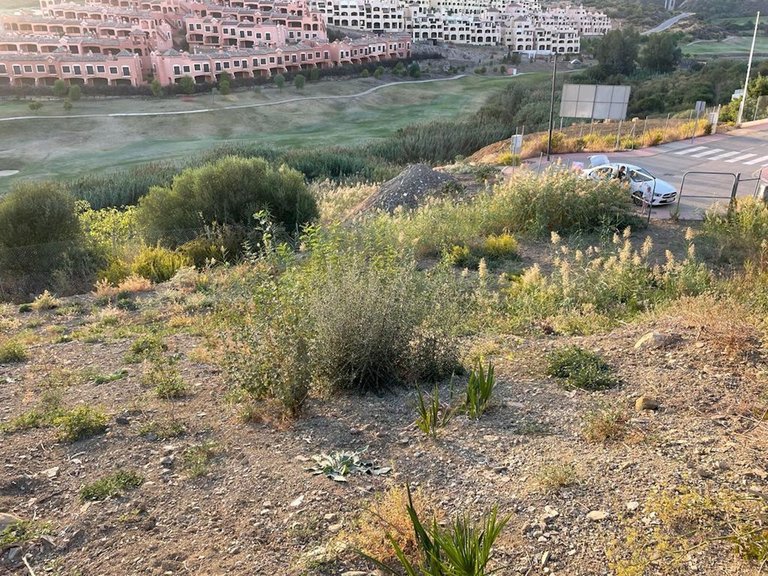 Plot for Sale in Estepona, Malaga 2