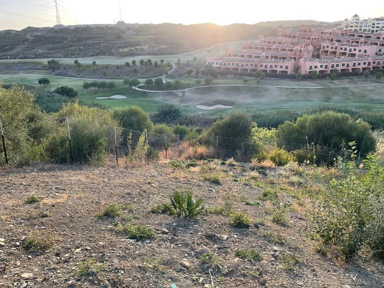 Plot for Sale in Estepona, Malaga 3