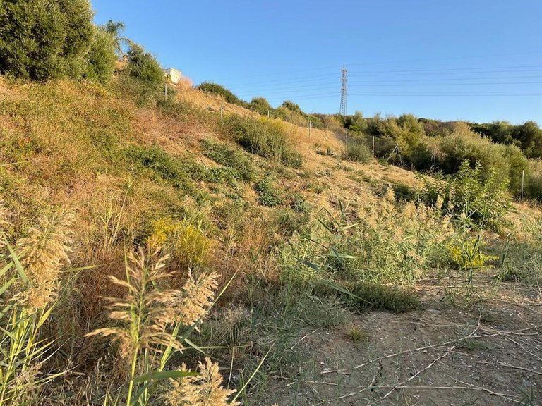 Plot for Sale in Estepona, Malaga 4