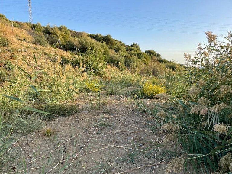 Plot for Sale in Estepona, Malaga 5