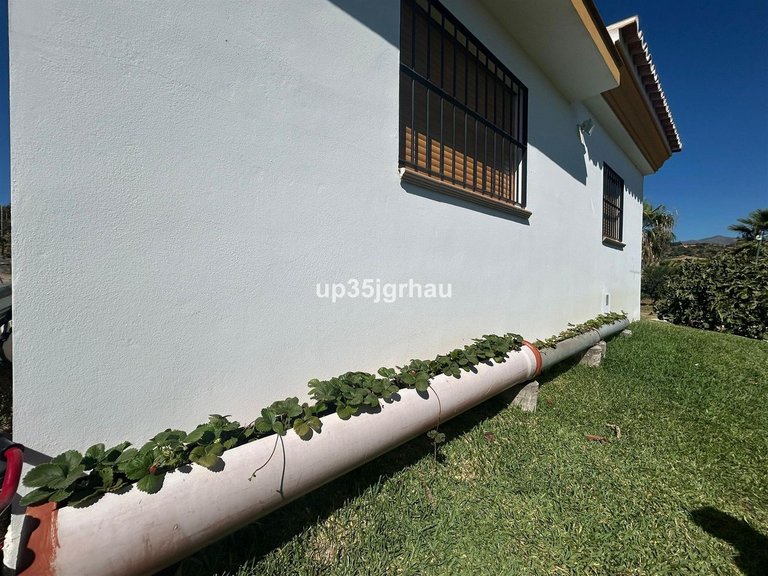 Villa for Sale in Estepona, Malaga 6