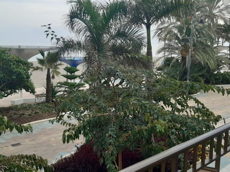 Apartment for Sale in Estepona, Malaga 26