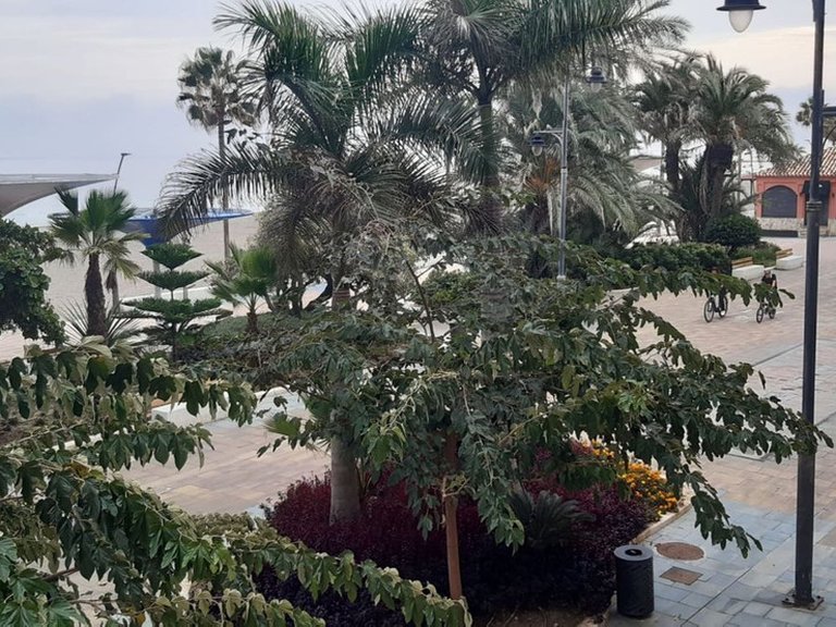 Apartment for Sale in Estepona, Malaga 29