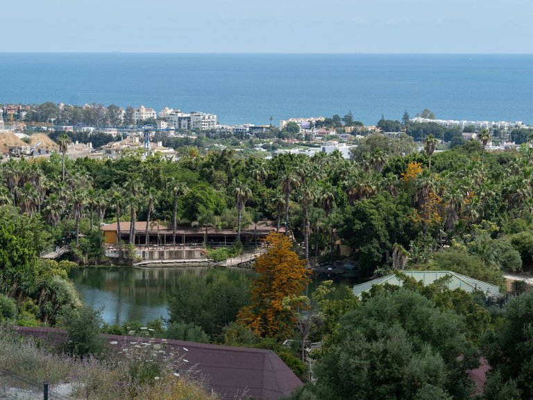 Apartment for Sale in Selwo, Malaga 15