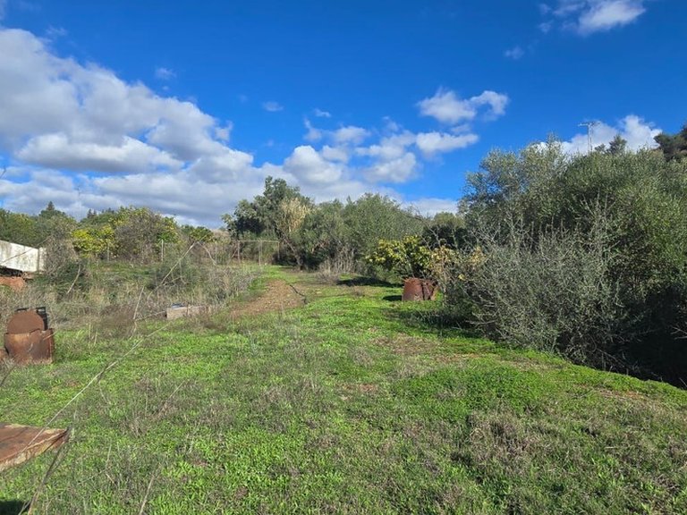 Villa for Sale in Estepona, Malaga 2