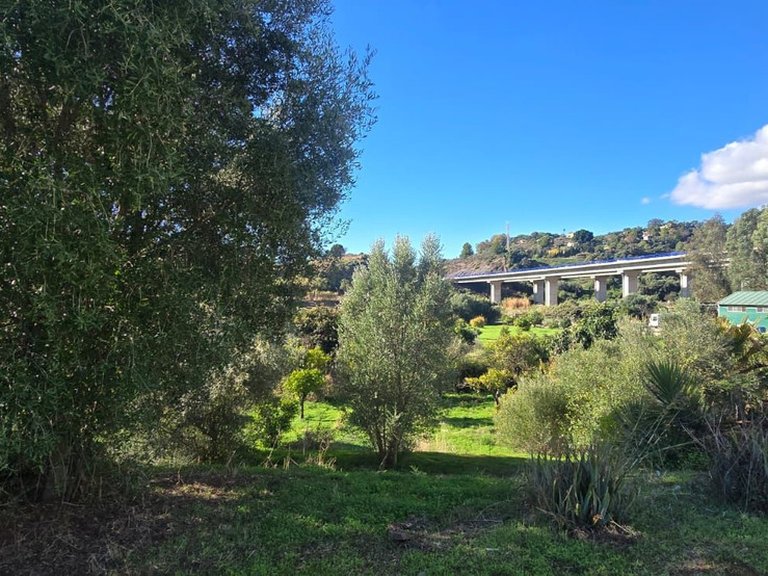 Villa for Sale in Estepona, Malaga 3