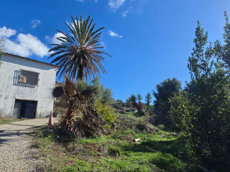 Villa for Sale in Estepona, Malaga 8