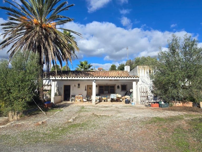 Villa for Sale in Estepona, Malaga 9