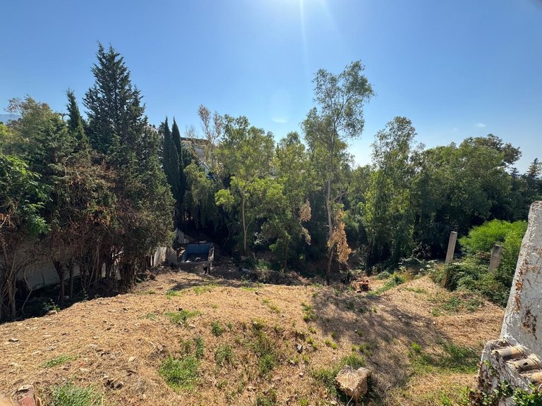 Plot for Sale in Campo Mijas, Malaga 5
