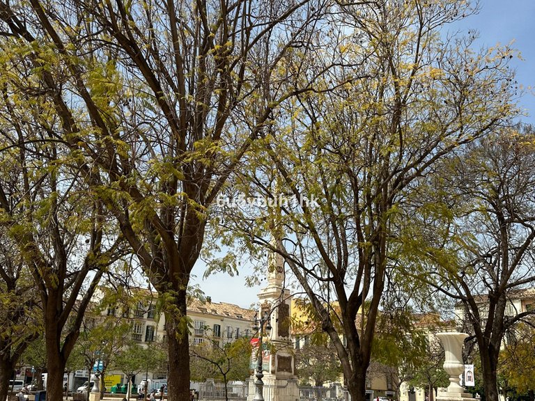 Apartment for Sale in Málaga, Malaga 21