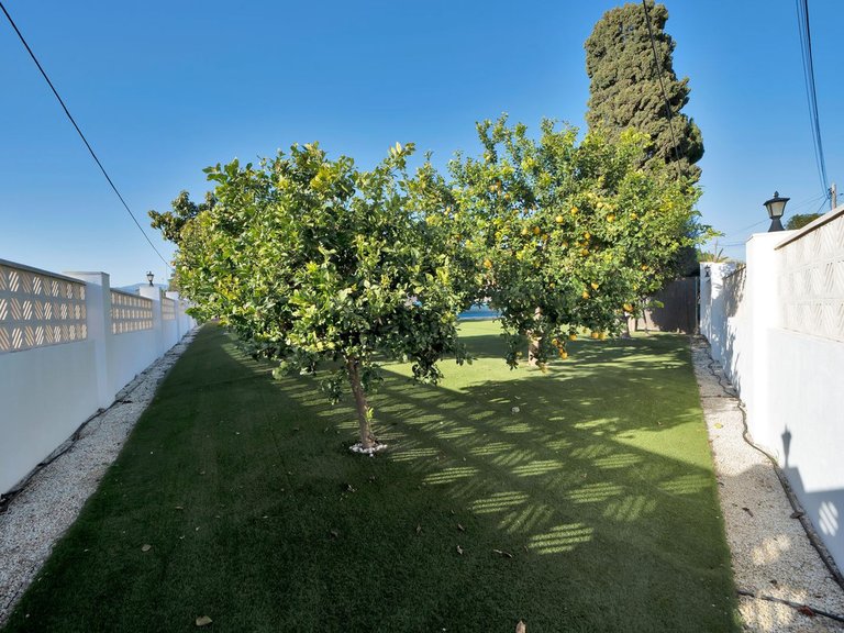 Villa for Sale in San Pedro De Alcántara, Malaga 16