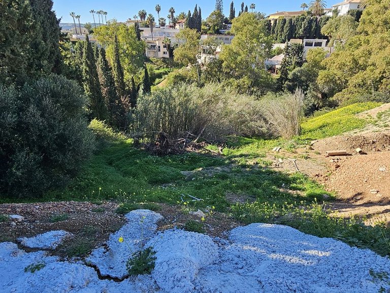 Plot for Sale in Campo Mijas, Malaga 3