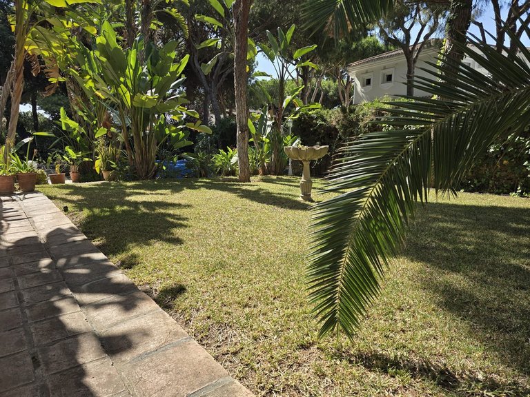 Villa for Sale in Calahonda, Malaga 21