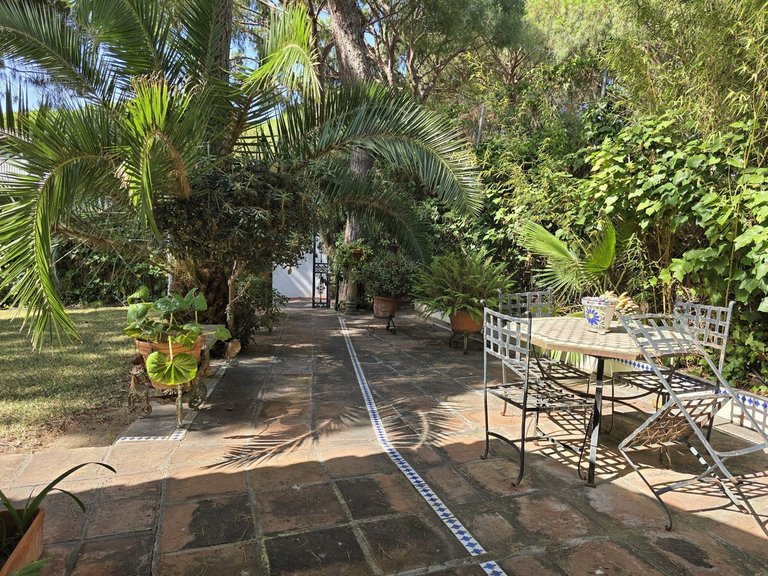 Villa for Sale in Calahonda, Malaga 34