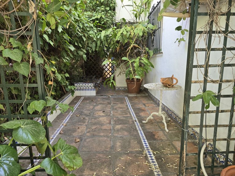 Villa for Sale in Calahonda, Malaga 36