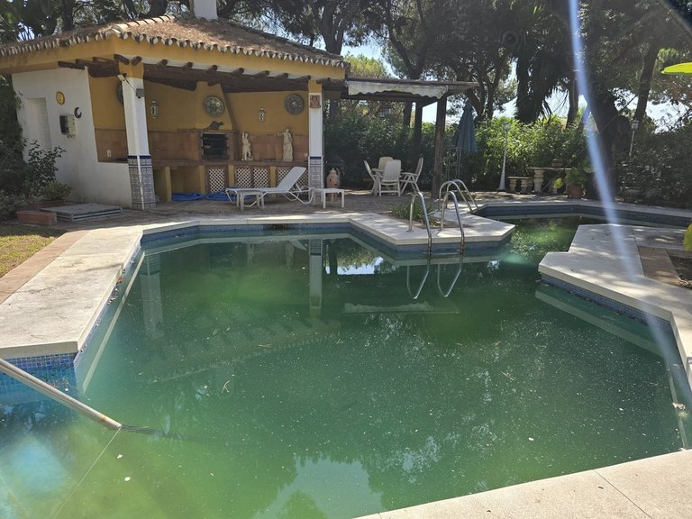 Villa for Sale in Calahonda, Malaga 6