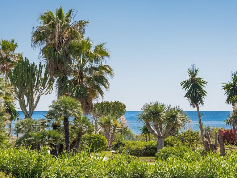 Apartment for Sale in Estepona, Malaga 1
