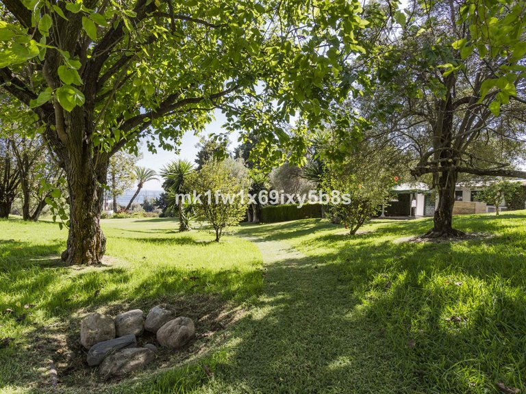 Apartment for Sale in Río Real, Malaga 8