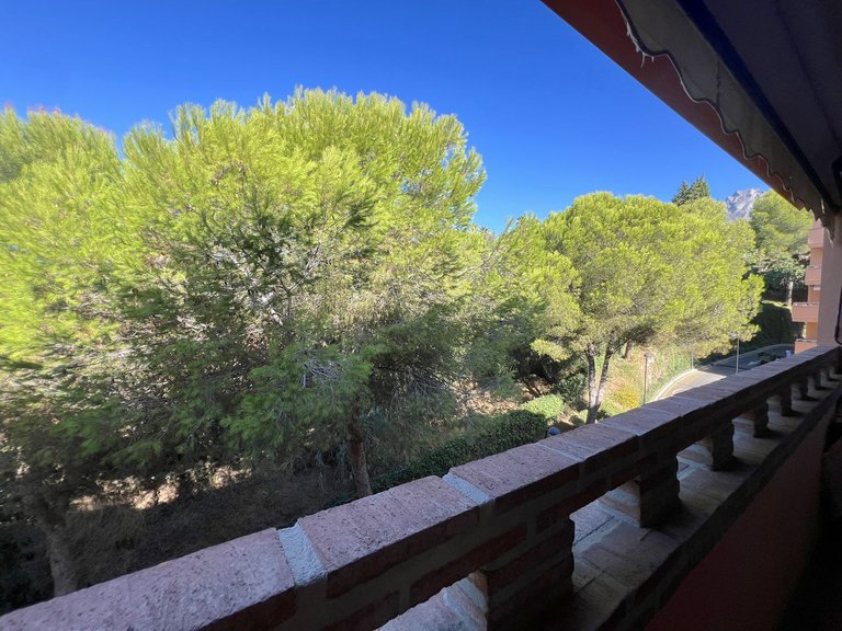 Apartment for Sale in The Golden Mile, Malaga 10