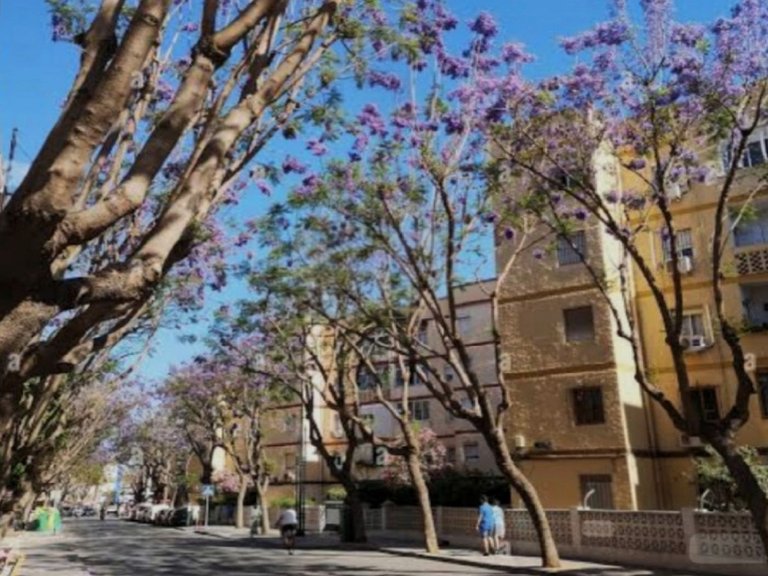 Apartment for Sale in Fuengirola, Malaga 2