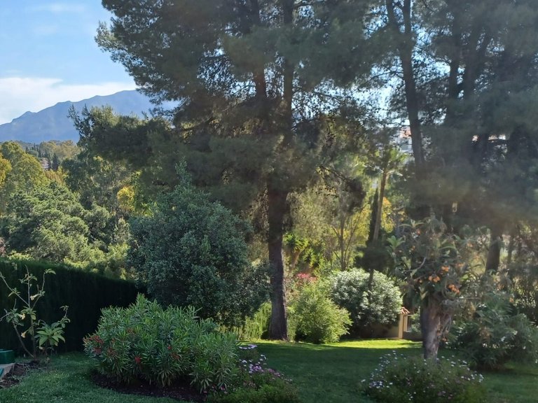Villa for Sale in Benahavís, Malaga 15
