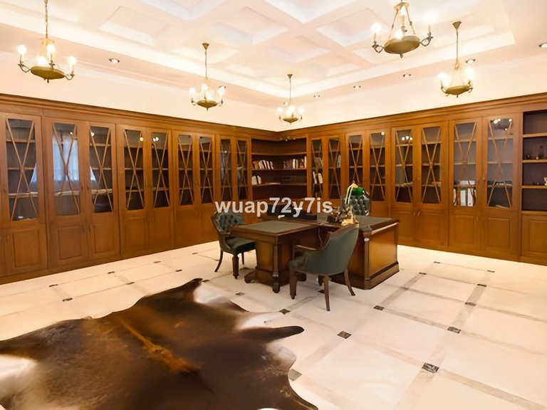 Villa for Sale in Guadalmina Baja, Malaga 3