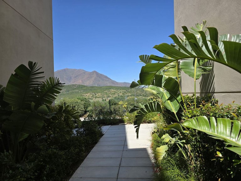 Apartment for Rent in Estepona, Malaga 21